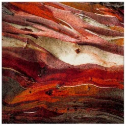 Calabasas Abstract Loomed Area Rug - Safavieh -Safavieh Rug Outlet Store GUEST 51b69280 2dda 4fb6 b4f0 fe4b4c5cde9c